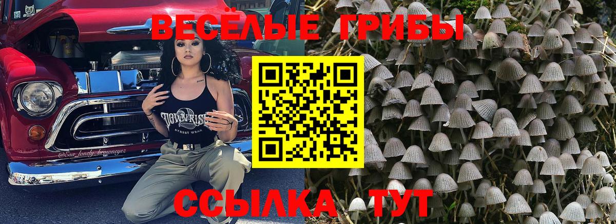 Псилоцибиновые грибы Magic Shrooms Куйбышев